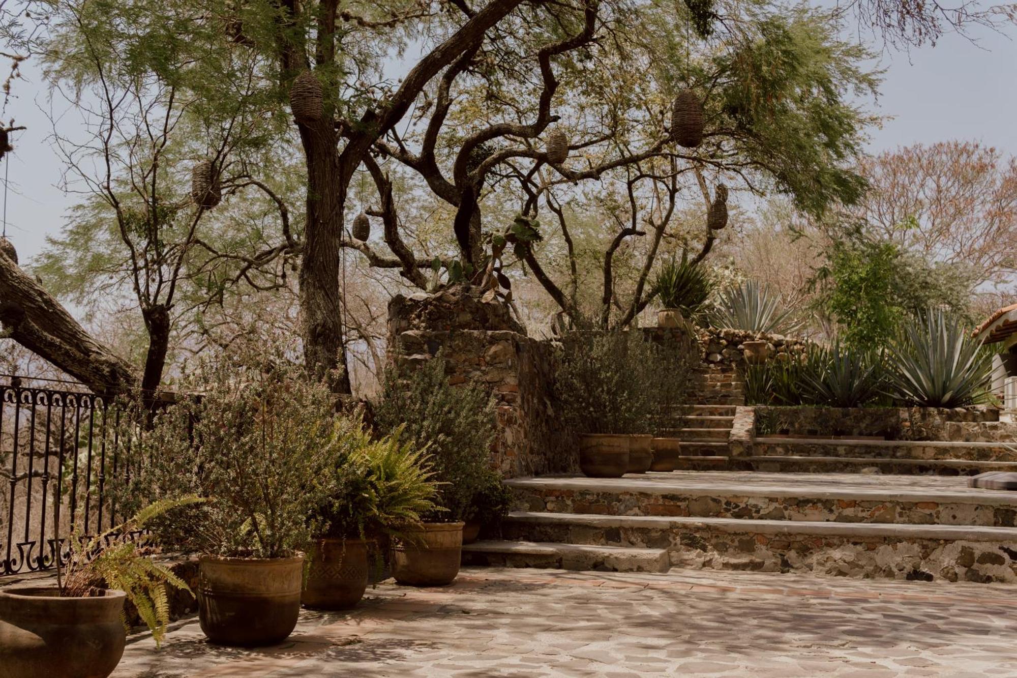 Hacienda San Nicolas De Las Fuentes Teuchitlán Exteriör bild