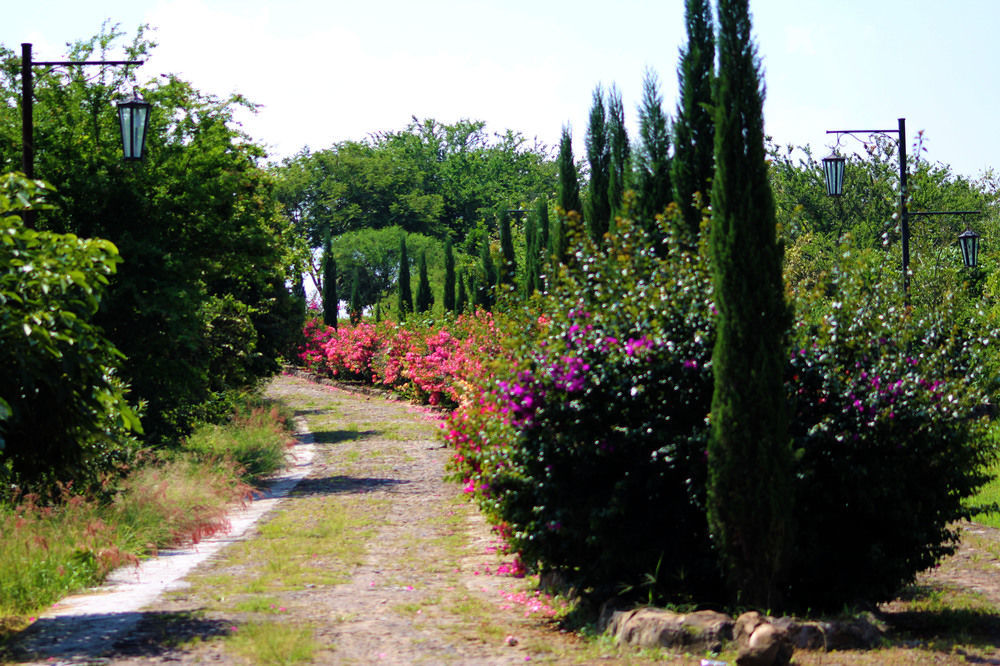 Hacienda San Nicolas De Las Fuentes Teuchitlán Exteriör bild